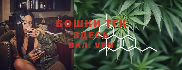 дживик Осинники