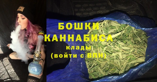 дживик Осинники