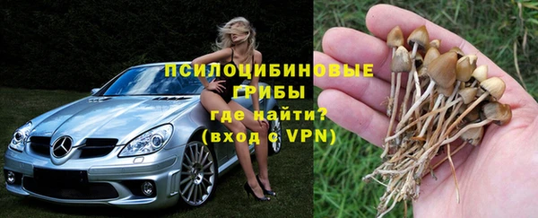 дживик Осинники