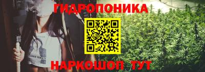 мяу мяу мука Гусь-Хрустальный