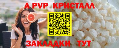 спиды Гусев