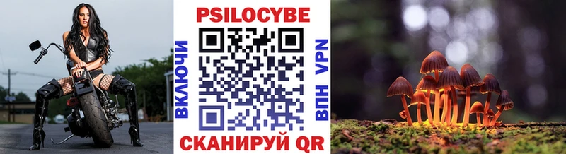 цена МЕГА онион Псилоцибиновые грибы Magic Shrooms Кореновск