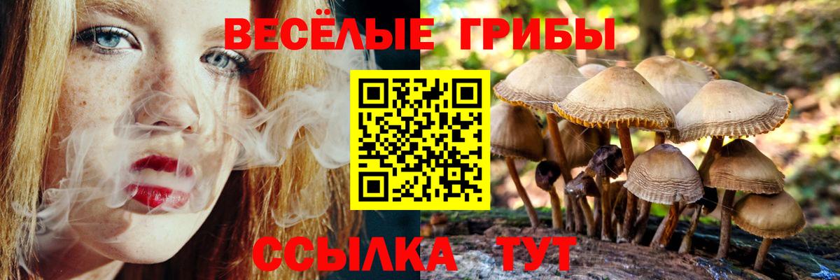 Галлюциногенные грибы Cubensis  купить наркоту  Кореновск 