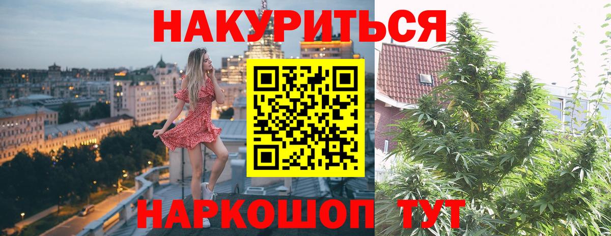 Каннабис планчик  Бошки Шишки OG Kush  Вход с VPN  Канабис VHQ  Кореновск 